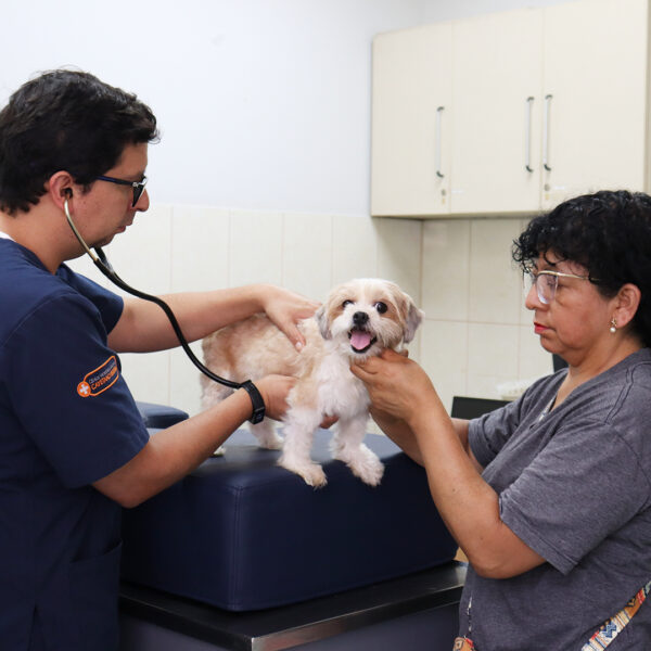 Centro Veterinario Docente Cayetano