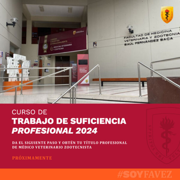 curso-trabajo-suficiencia-profesional-2024