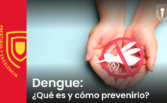 Dengue: ¿Qué es y cómo prevenirlo?