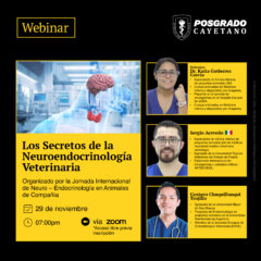 Webinar: Los secretos de la Neuroendocrinología Veterinaria