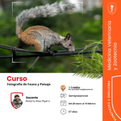 Curso de fotografía de fauna, paisaje y macrofotografía.