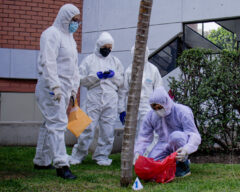 Curso de Medicina Veterinaria Forense