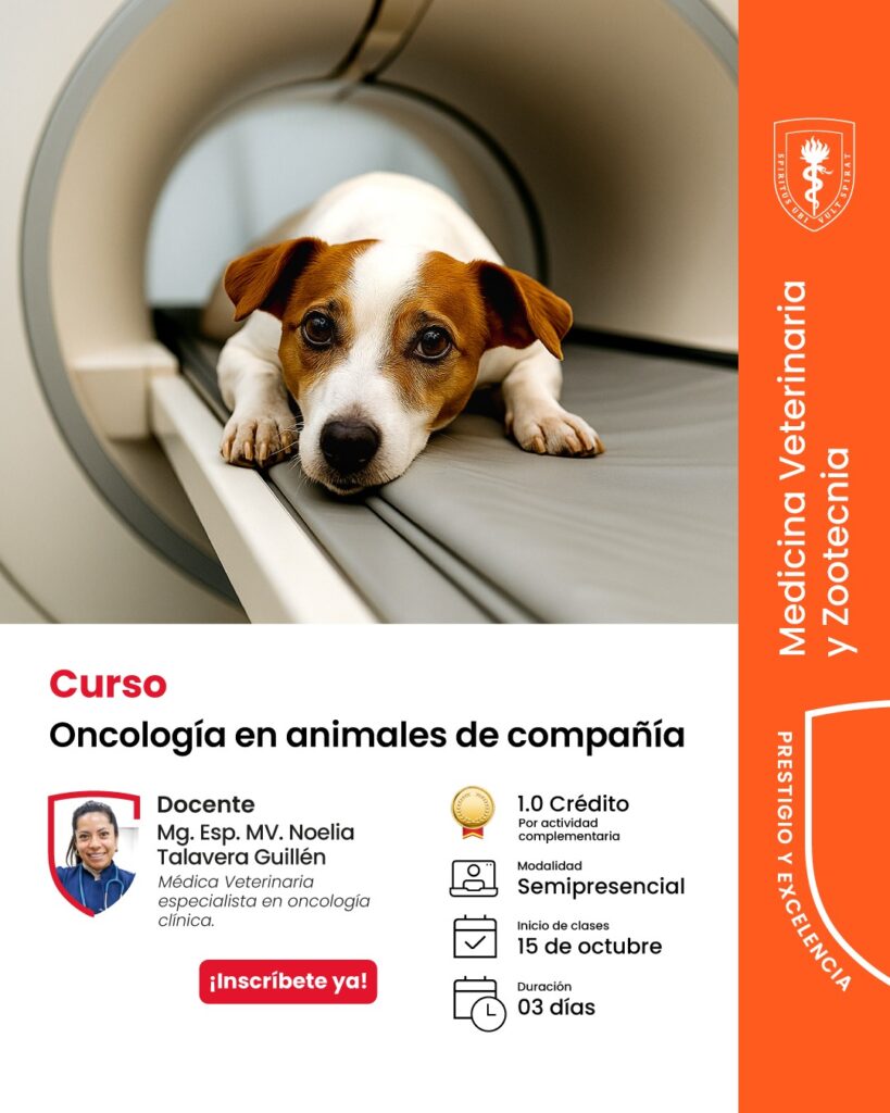 WhatsApp Image 2025-09-16 at 5.14.00 PM