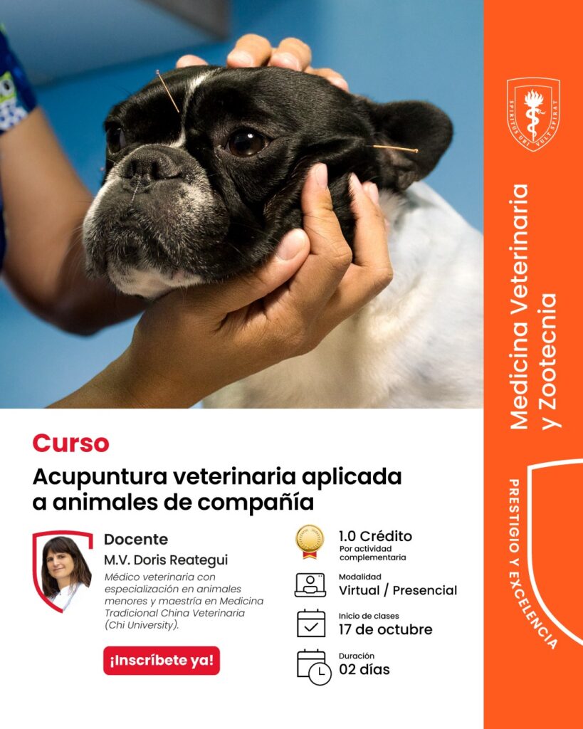 WhatsApp Image 2025-09-25 at 5.36.00 PM