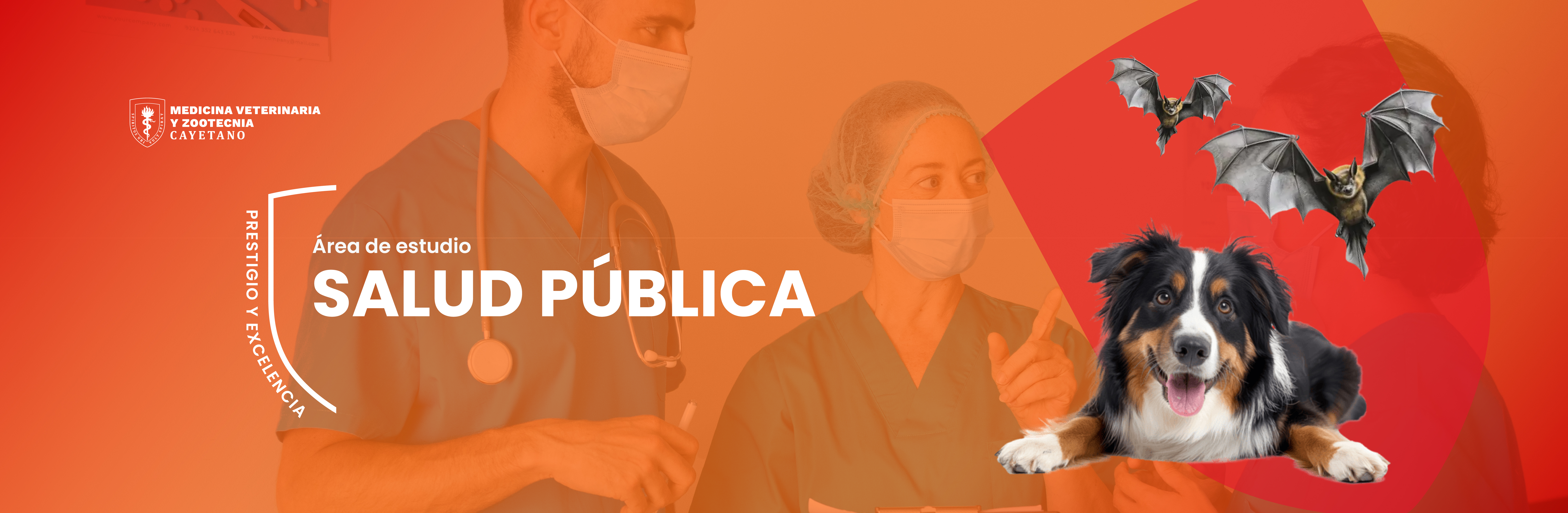 portada-09