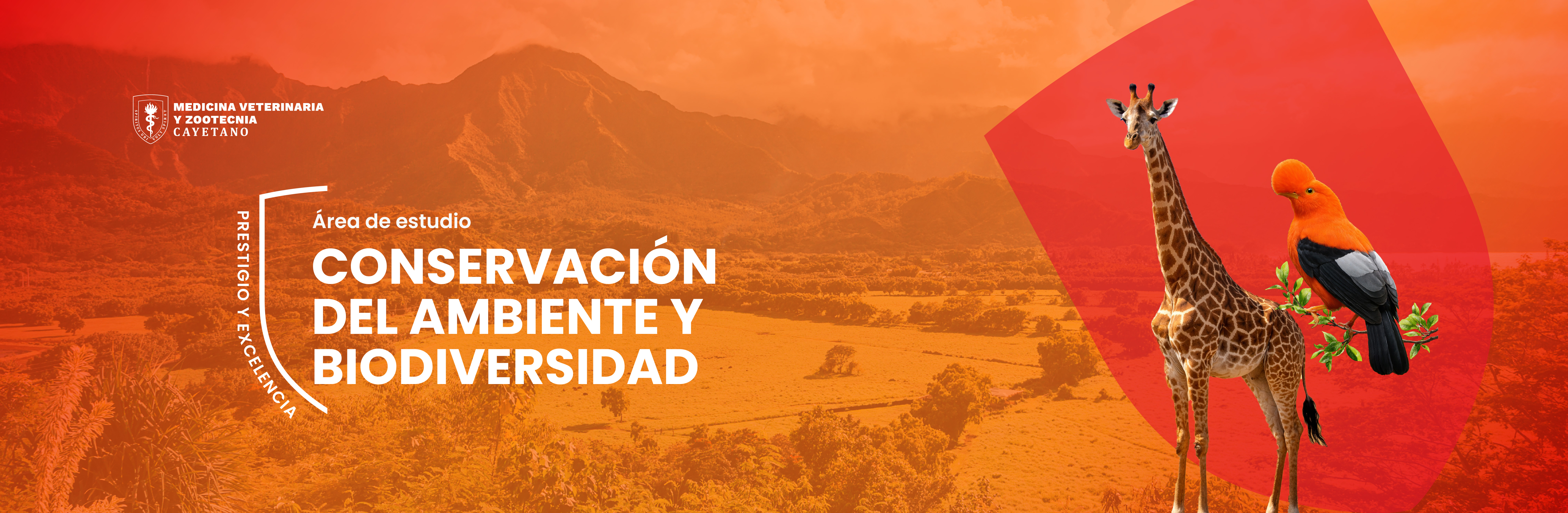 portada-10