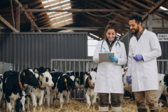 Concurso Público de Méritos y Capacidad Docente del Departamento Académico de Medicina Veterinaria y Zootecnia
