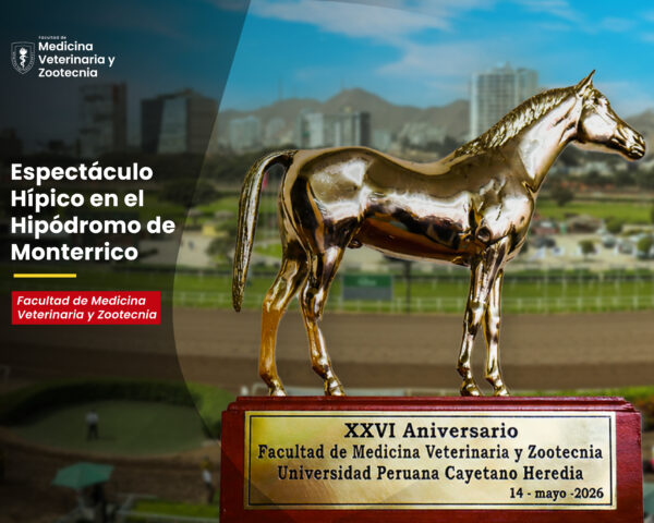 HIPODROMO-04.jpg