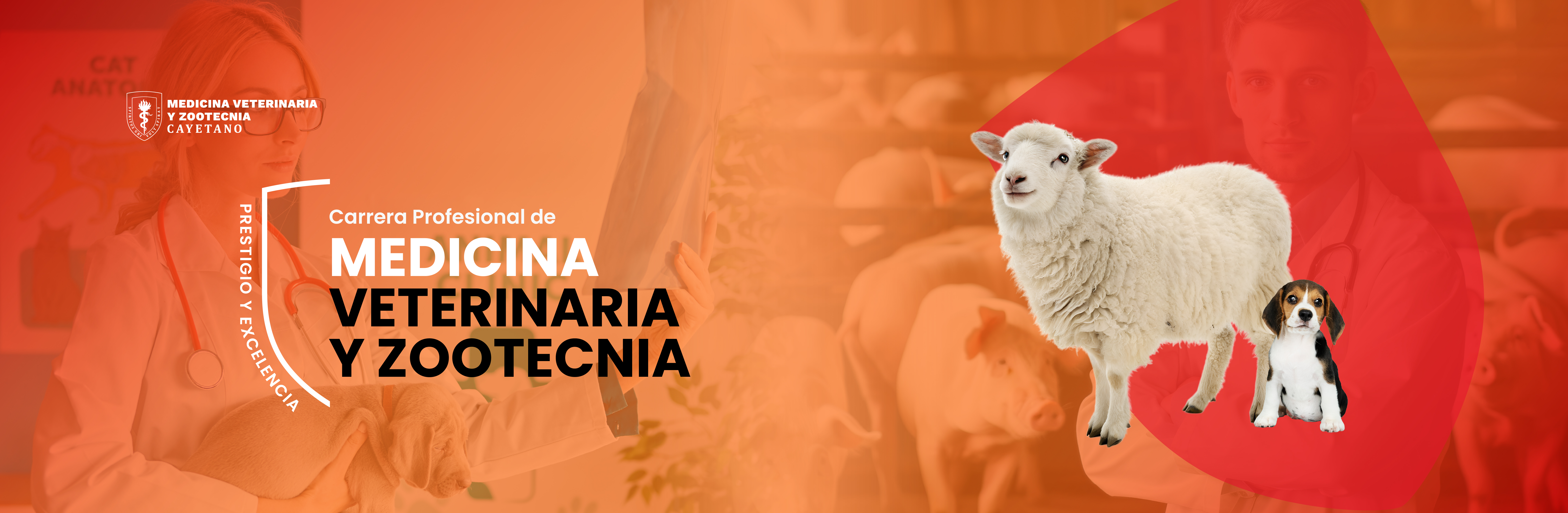 portada-06.jpg (2)