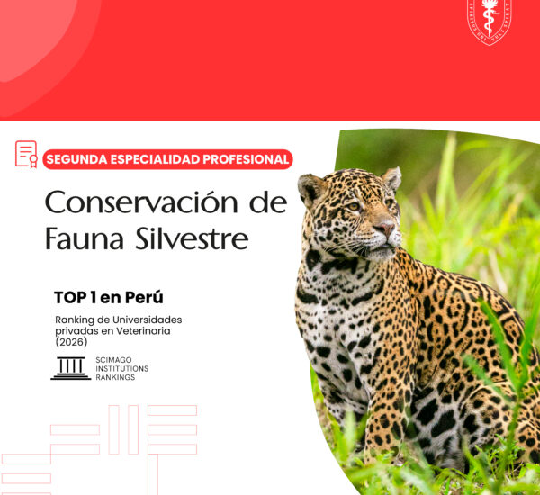PORTADA WEB FAUNA